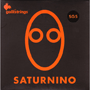 Galli SG5n SATURN Strings Nickel Roundwound, 5-string