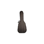 HISCOX Liteflite PRO-II-GAD Acoustic "Steel String" Case