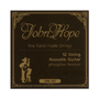John Hope JH 173 Super Acoustic Phosphor Bronze (12-string), soft