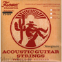 Fisoma F2410 Oktave Guitar (Steel)