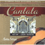Medina 640 Classical Guitar - Cantata Profesional, Light Tension