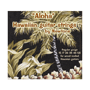 Newtone ALOHA Hawaiian Guitar Phosphor Bronze, regular