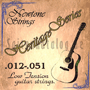Newtone Heritage Series - Low Tension Guitarstrings Medium Light