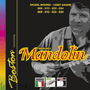 Boston MDN-80-L Mandolin Nickel Wound, light