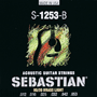 Sebastian S-1253-B Acoustic 80/20 Brass, Light