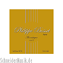 Philippe Bosset Acoustique 1047 Soft Brass 80/20, Extra Light