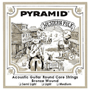 Pyramid Acoustic Guitar ROUND CORE "Premium Bronze", light