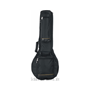 ROCKBAG RB20617B/PLUS PREMIUM LINE PLUS  Banjo Negro  4/5 / irische Bouzouki