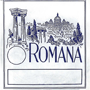 Romana Akkord zither E Akkord strengthened