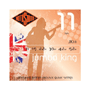 Rotosound JK11 Jumbo King Phosphor Bronze L