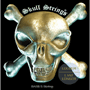 SKULL Bass Strings 045-135 Stainless Steel 5-string