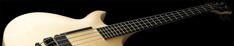 Acoustic Bass Acoustic Bass